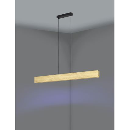 Eglo - LED RGBW prigušivački luster na užetu LED/35W/230V 2700-6500K