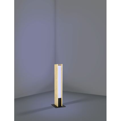 Eglo - LED RGBW Prigušiva stolna lampa LED/16W/230V 2700-6500K