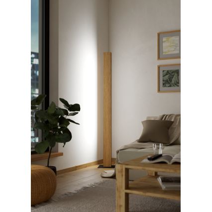 Eglo - LED RGBW Dimmabilna podna lampa LED/35W/230V 2700-6500K