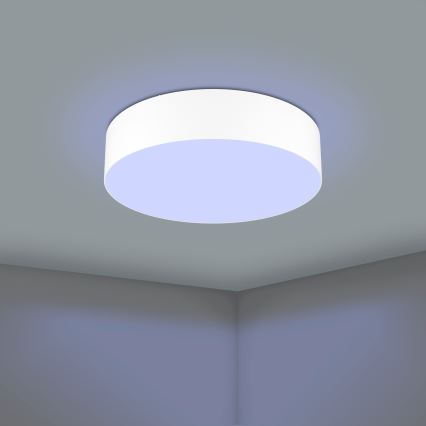 Eglo - LED RGBW Prigušiva stropna svjetiljka LED/35W/230V 2700-6500K bijela