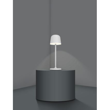 Eglo - LED Prigušiva vanjska punjiva lampa LED/2,2W/5V 1800 mAh siva IP54