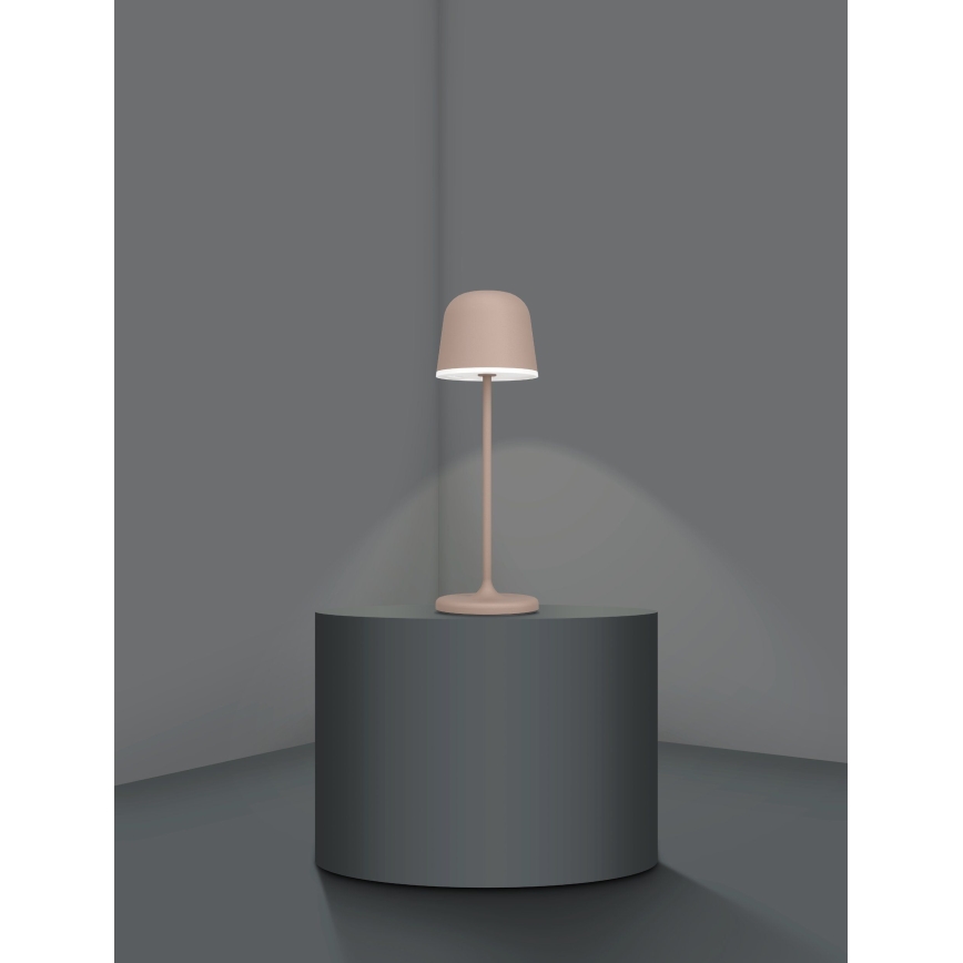 Eglo - LED Prigušiva vanjska punjiva lampa LED/2,2W/5V 1800mAh smeđa IP54