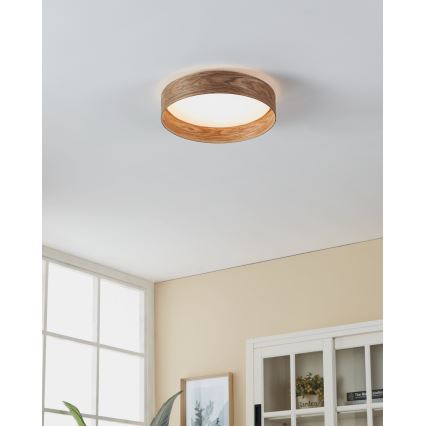 Eglo - LED Stropna svjetiljka LED/24W/230V