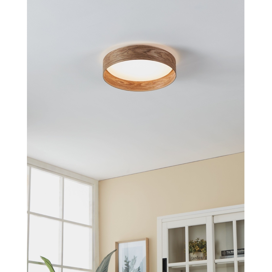 Eglo - LED Stropna svjetiljka LED/24W/230V