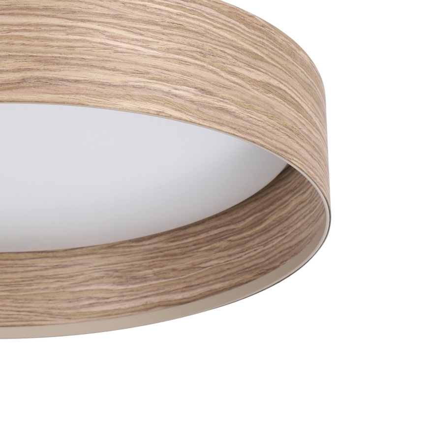 Eglo - LED Stropna svjetiljka LED/24W/230V