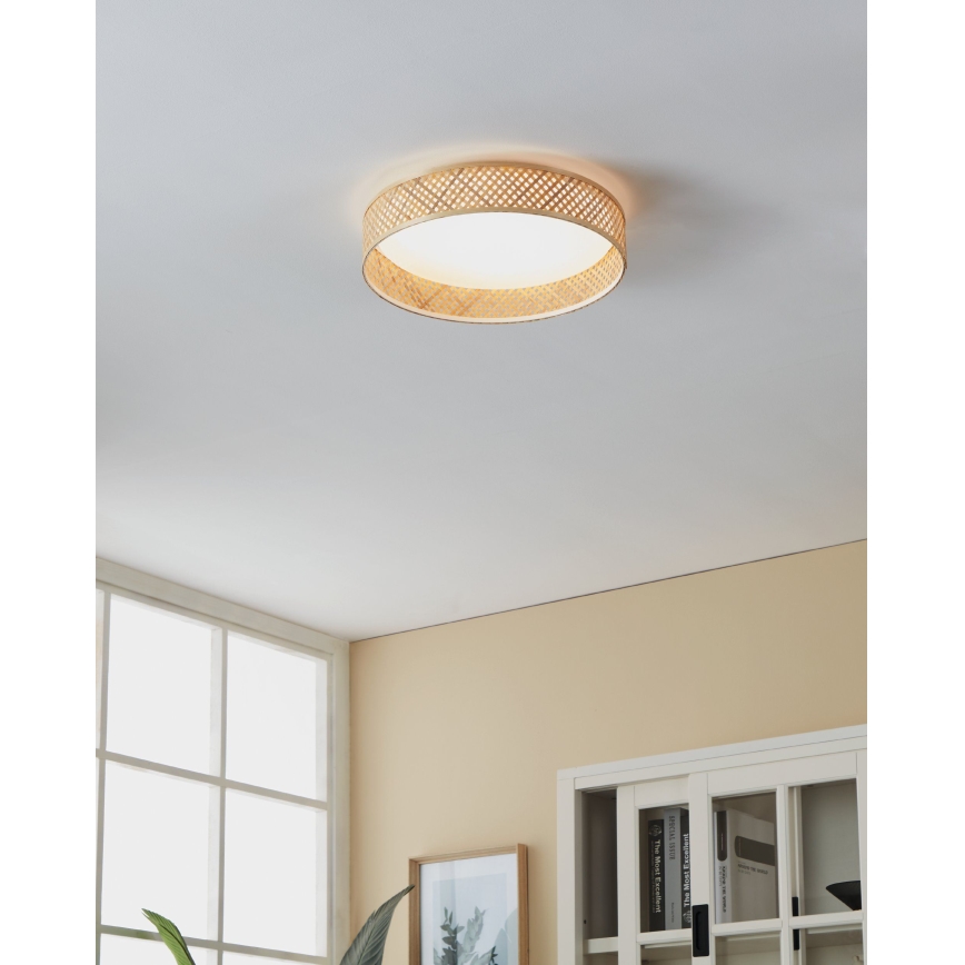 Eglo - LED Stropna svjetiljka LED/24W/230V