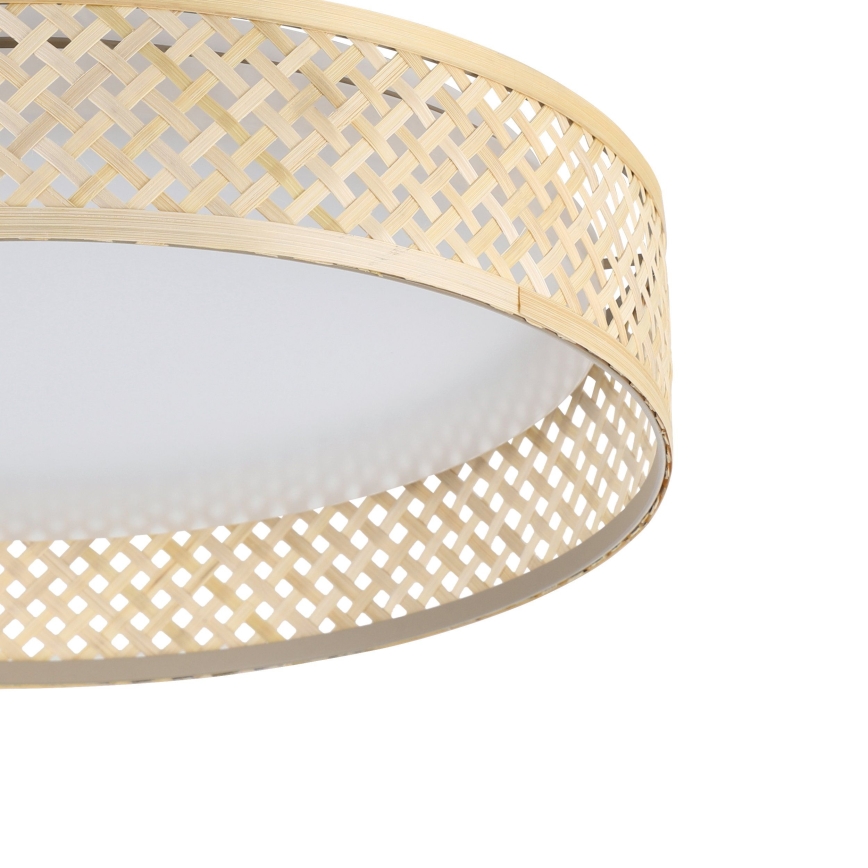 Eglo - LED Stropna svjetiljka LED/24W/230V