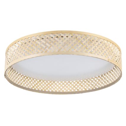 Eglo - LED Stropna svjetiljka LED/24W/230V