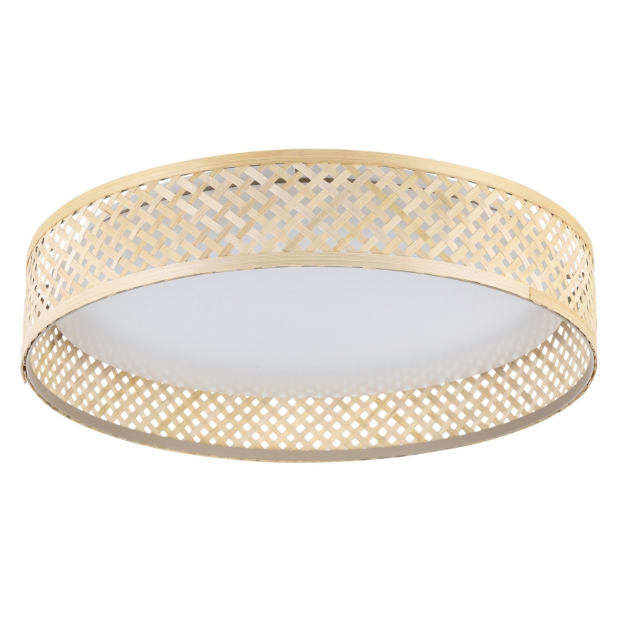 Eglo - LED Stropna svjetiljka LED/24W/230V