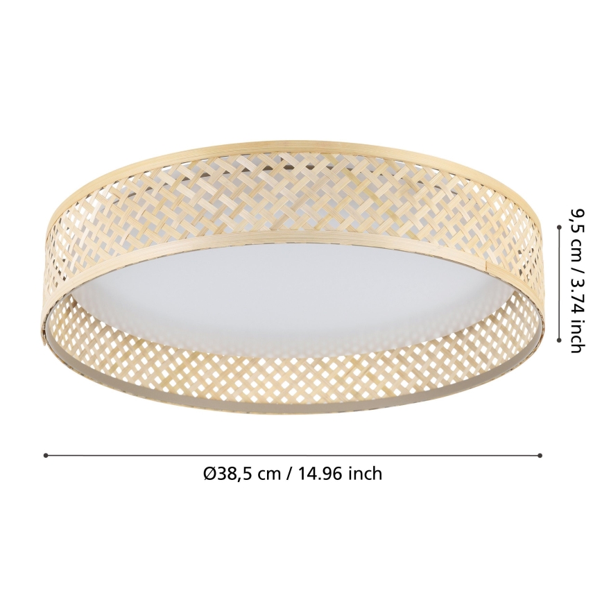 Eglo - LED Stropna svjetiljka LED/24W/230V