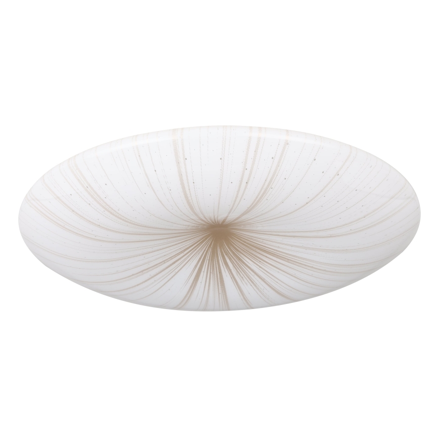 Eglo - LED Stropna svjetiljka LED/10W/230V