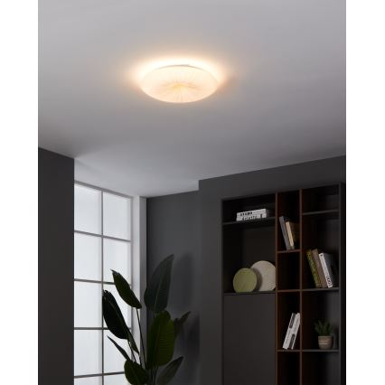 Eglo - LED Stropna svjetiljka LED/10W/230V