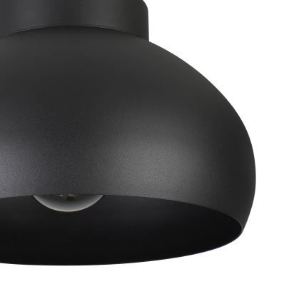 Eglo - Stropna svjetiljka 1xE27/40W/230V crna