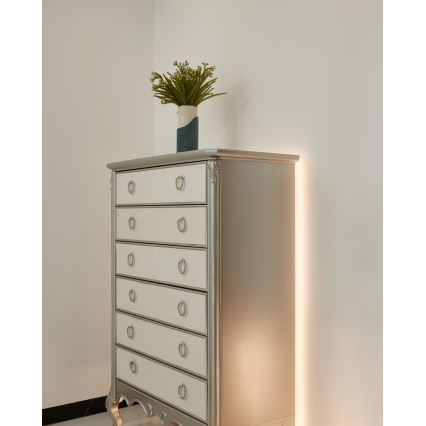 Eglo - Prigušiva LED traka 8m COB STRIPE LED/52,8W/24/230V 2700-6500K + daljinsko upravljanje
