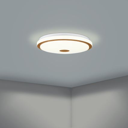 Eglo - LED Prigušiva stropna svjetiljka LED/24W/230V + daljinski upravljač
