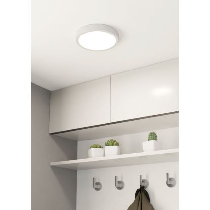 Eglo - LED Stropna svjetiljka za kupaonicu LED/17W/230V bijela IP44