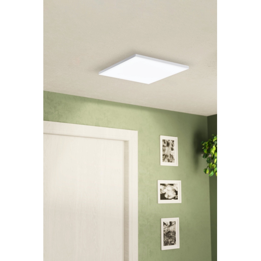 Eglo - LED Stropna svjetiljka LED/10,8W/230V