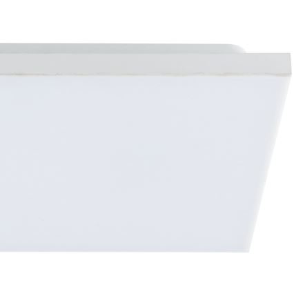 Eglo - LED Stropna svjetiljka LED/10,8W/230V