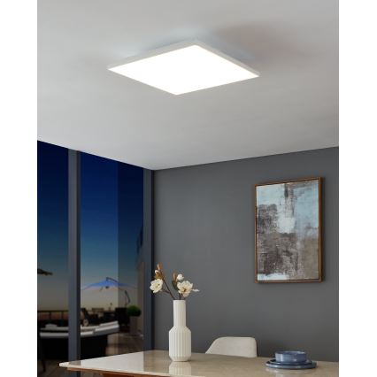 Eglo - LED Stropna svjetiljka LED/21W/230V