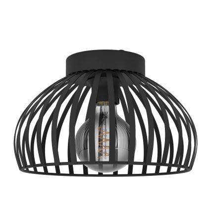 Eglo - Stropna svjetiljka 1xE27/40W/230V pr. 28 cm