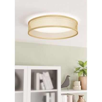 Eglo - LED Stropna svjetiljka LED/20W/230V zlatna