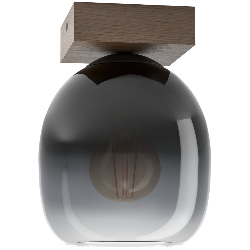 Eglo - Stropna svjetiljka 1xE27/40W/230V