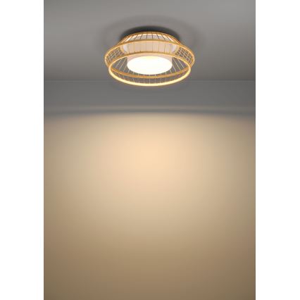 Eglo - LED RGBW Prigušiva stropna svjetiljka LED/22W/230V 2700-6500K