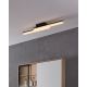 Eglo - LED Stropna svjetiljka za kupaonicu 2xLED/11W/230V IP44