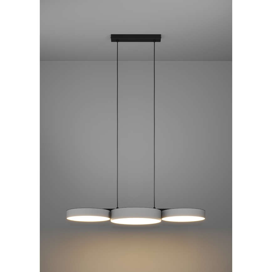 Eglo - LED RGBW Prigušivi luster na sajli 3xLED/7,5W/230V 2700-6500K siva