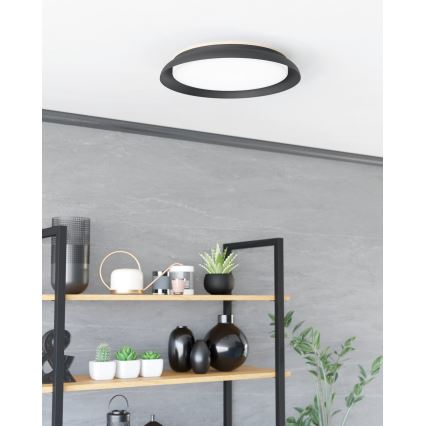 Eglo - LED Stropna svjetiljka LED/20W/230V