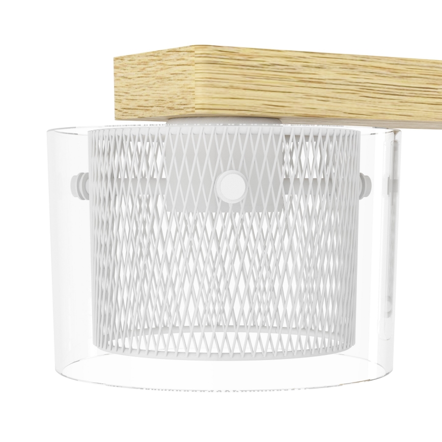 Eglo - LED RGBW dimabilni luster na užetu 4xLED/3,7W/230V 2700-6500K