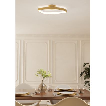 Eglo - LED Prigušiva stropna svjetiljka LED/25,2W/230V