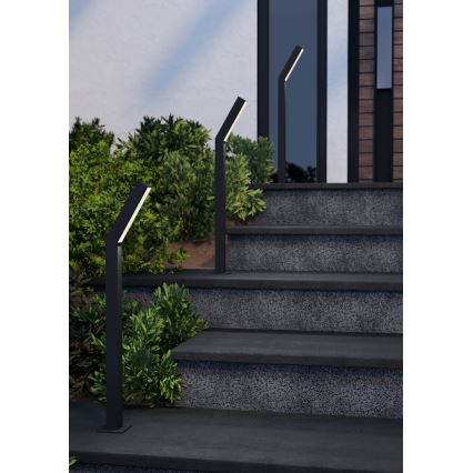 Eglo - LED vanjska svjetiljka 2xLED/4,5W/230V IP44 crna