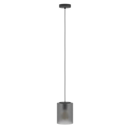 Eglo - Luster na sajli 1xE27/40W/230V siva