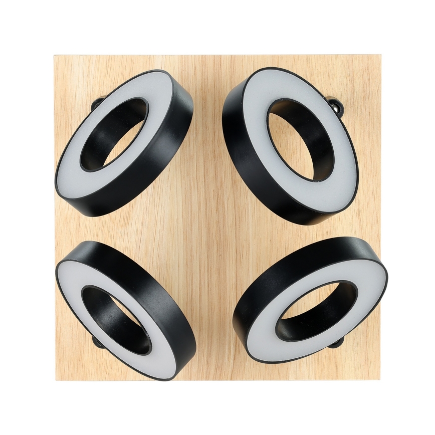 Eglo - LED spot svjetiljka 4xLED/4,2W/230V crna/smeđa