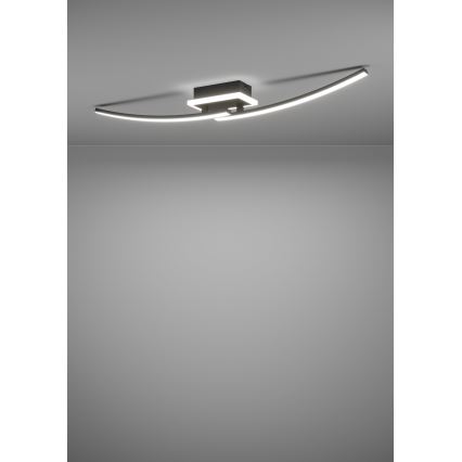 Eglo - LED Stropna svjetiljka LED/12W/230V 4000K crna