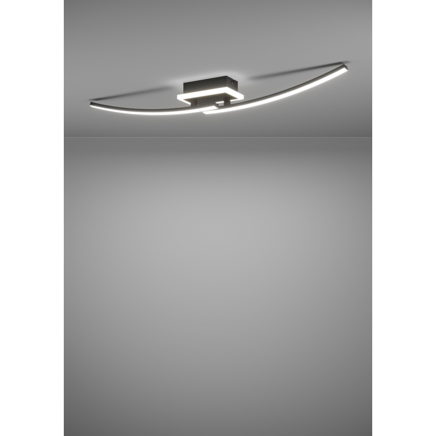 Eglo - LED Stropna svjetiljka LED/12W/230V 4000K crna
