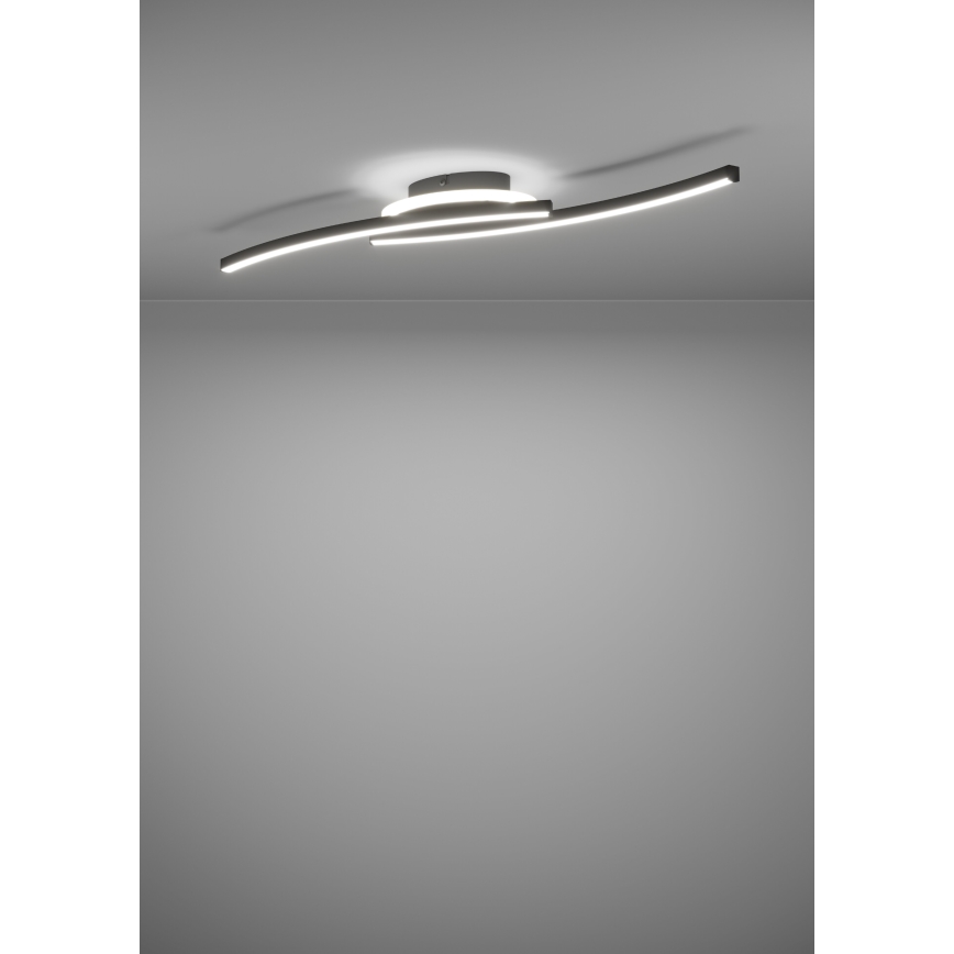 Eglo - LED Stropna svjetiljka LED/12W/230V 4000K crna