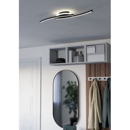 Eglo - LED Stropna svjetiljka LED/12W/230V 4000K crna