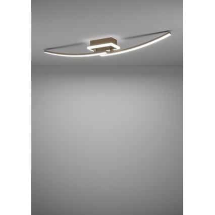 Eglo - LED Stropna svjetiljka LED/12W/230V 4000K bakrena