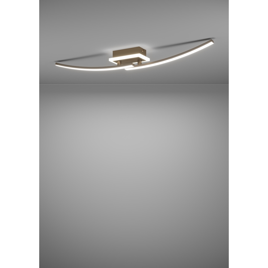 Eglo - LED Stropna svjetiljka LED/12W/230V 4000K bakrena
