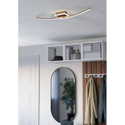 Eglo - LED Stropna svjetiljka LED/12W/230V 4000K bakrena