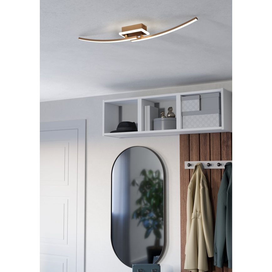 Eglo - LED Stropna svjetiljka LED/12W/230V 4000K bakrena