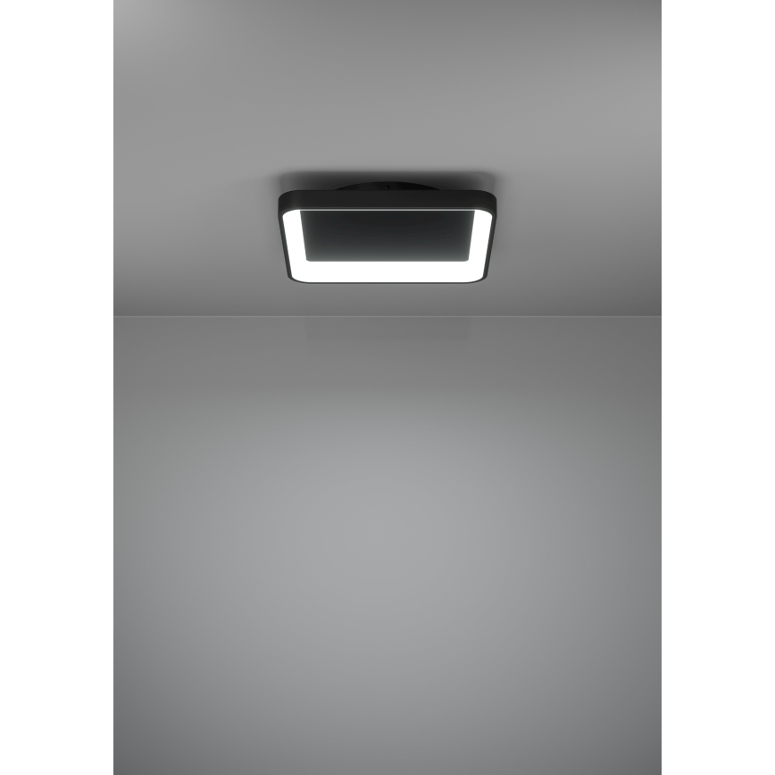 Eglo - LED stropna svjetiljka s prigušivanjem LED/12W/230V 2700-6500K crna + daljinski upravljač