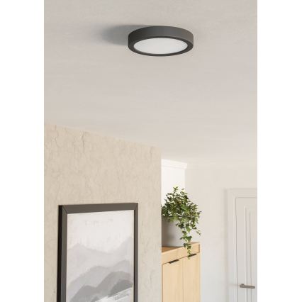 Eglo - LED stropna svjetiljka LED/7,5W/230V 2700/4000/6500K Ø 16,6 cm crna