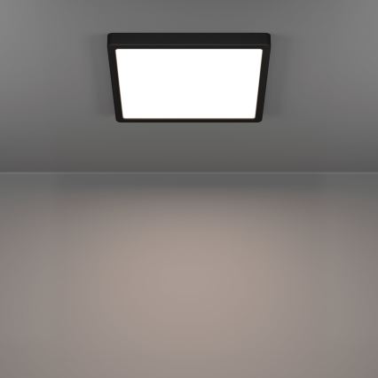 Eglo - LED stropna svjetiljka LED/13W/230V 2700/4000/6500K 29x29cm crna