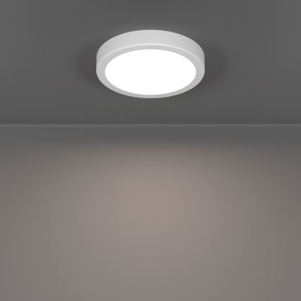 Eglo - LED stropna svjetiljka LED/7,5W/230V 2700/4000/6500K Ø 16,6 cm bijela