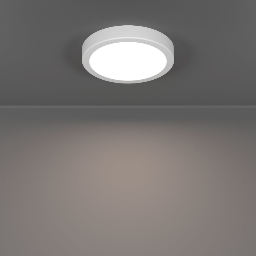 Eglo - LED stropna svjetiljka LED/7,5W/230V 2700/4000/6500K Ø 16,6 cm bijela