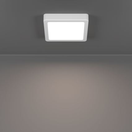 Eglo - LED stropna svjetiljka LED/7W/230V 2700/4000/6500K 15x15 cm bijela