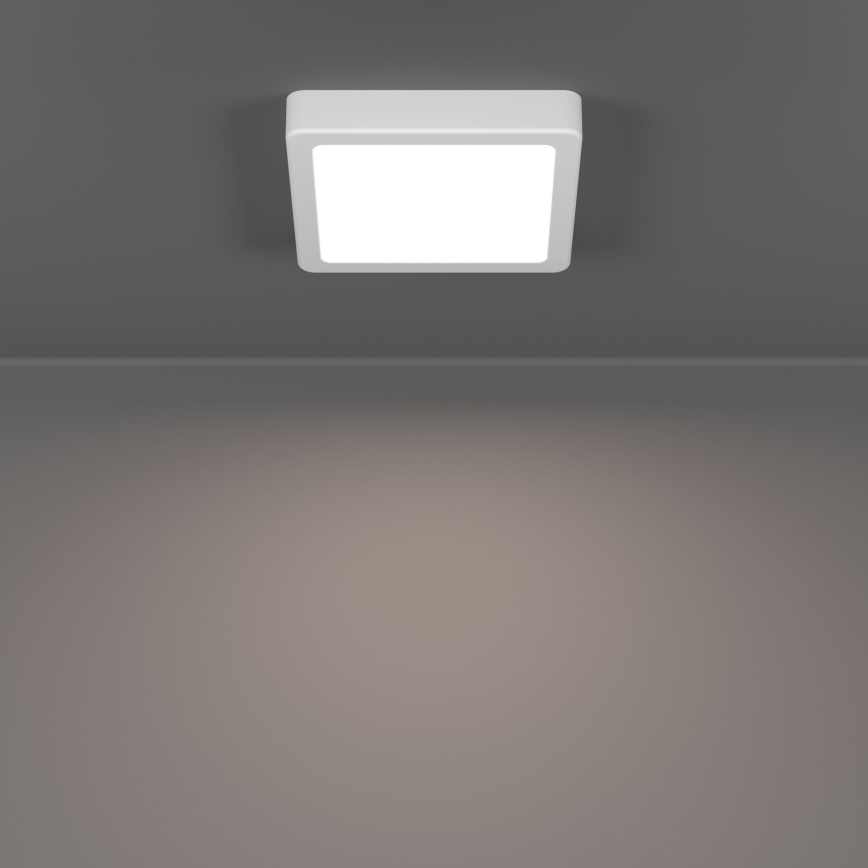 Eglo - LED stropna svjetiljka LED/7W/230V 2700/4000/6500K 15x15 cm bijela